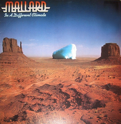 Mallard - In A Different Climate | Virgin (V 2077) - main