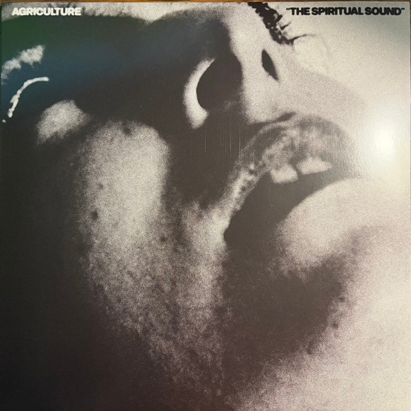Agriculture - The Spiritual Sound | Flenser Records (FR181) - 2 Agriculture - The Spiritual Sound | Flenser Records (FR181) - 2
