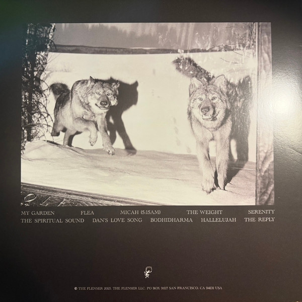 Agriculture - The Spiritual Sound | Flenser Records (FR181) - 3 Agriculture - The Spiritual Sound | Flenser Records (FR181) - 3