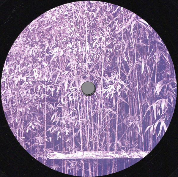 Javi - Berkana EP | Voiceless (VLS13) - 2