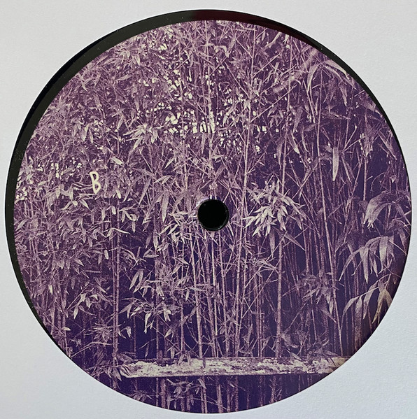 Javi - Berkana EP | Voiceless (VLS13) - 2