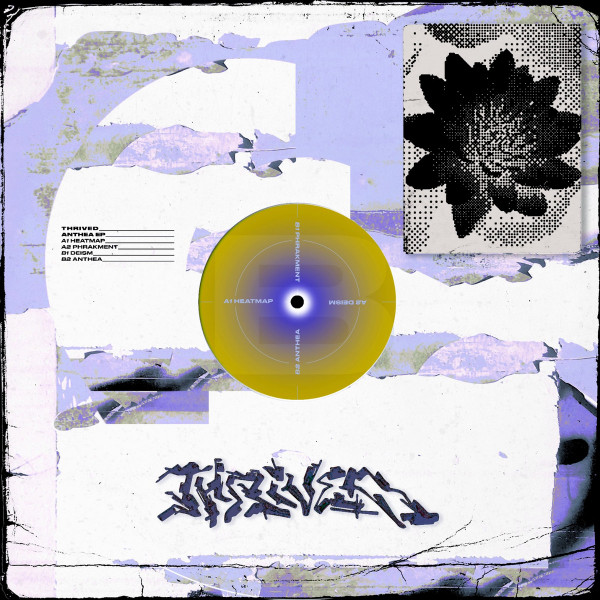 Thrived - Anthea | Club Qu (CQU-B1) - 2 Thrived - Anthea | Club Qu (CQU-B1) - 2