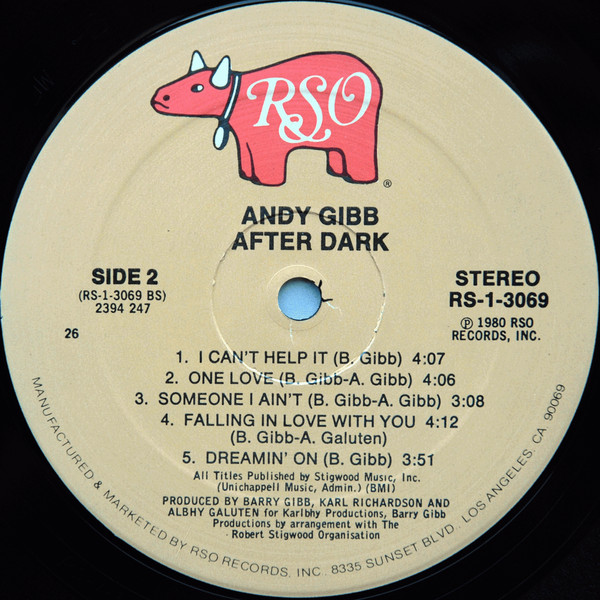 Andy Gibb - After Dark | RSO (RS-1-3069) - 4