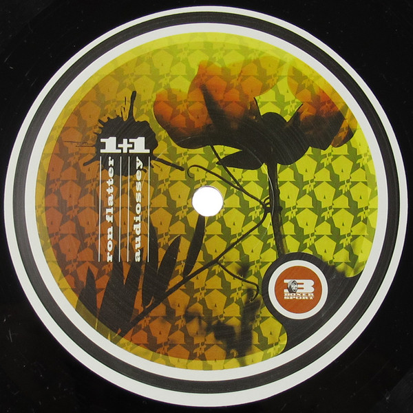 Ron Flatter / Audiossey - 1+1 | Boxer Recordings (BOXER 055)