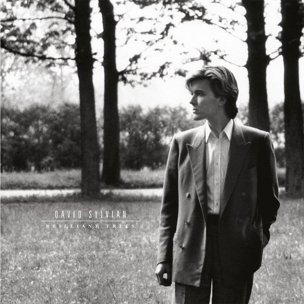 David Sylvian - Brilliant Trees | Virgin EMI Records (INTGDS00036LP) - main David Sylvian - Brilliant Trees | Virgin EMI Records (INTGDS00036LP) - main