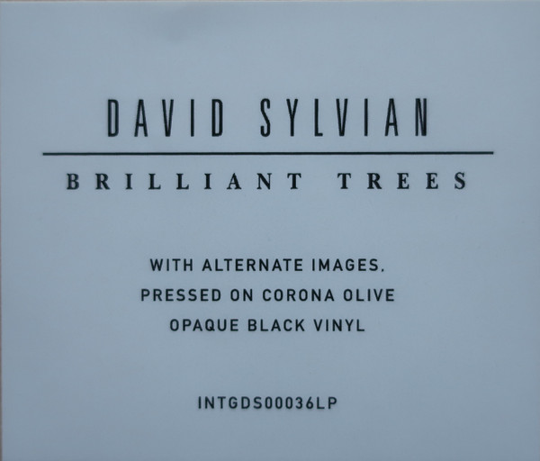 David Sylvian - Brilliant Trees | Virgin EMI Records (INTGDS00036LP) - 4 David Sylvian - Brilliant Trees | Virgin EMI Records (INTGDS00036LP) - 4