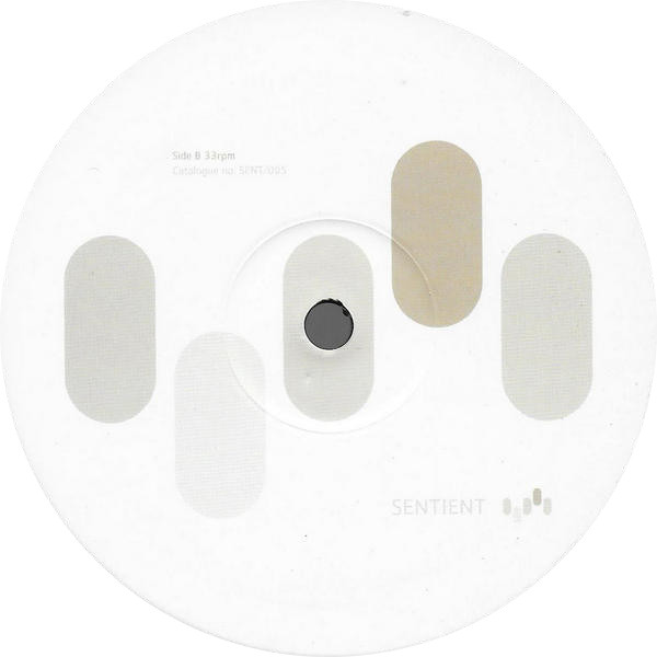 Presslaboys - Ionizer | Sentient Records (SENT005) - main