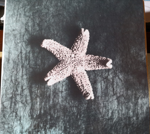 The Church - Starfish | Universal Music Australia (7705977) - 4 The Church - Starfish | Universal Music Australia (7705977) - 4