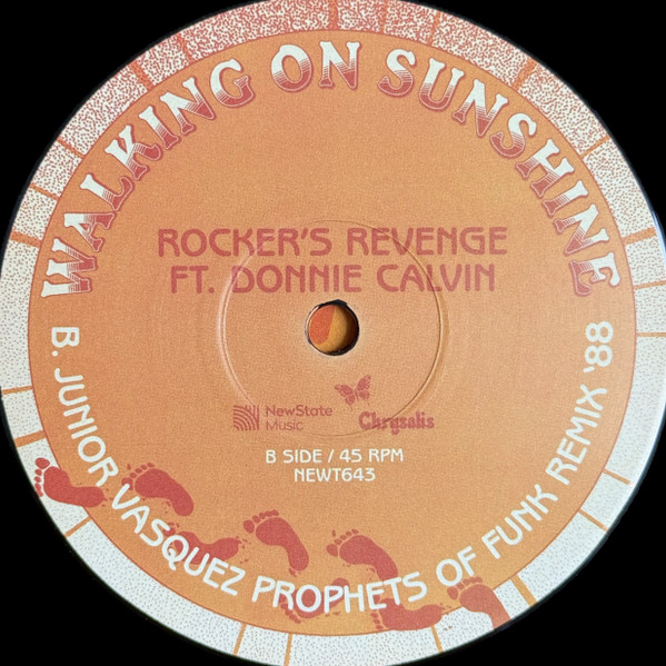Rockers Revenge Ft. Donnie Calvin - Walking On Sunshine | New State Music (NEWT643) - 4 Rockers Revenge Ft. Donnie Calvin - Walking On Sunshine | New State Music (NEWT643) - 4