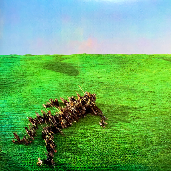 Squid - Bright Green Field | Warp Records (WARPLP314G) - main Squid - Bright Green Field | Warp Records (WARPLP314G) - main