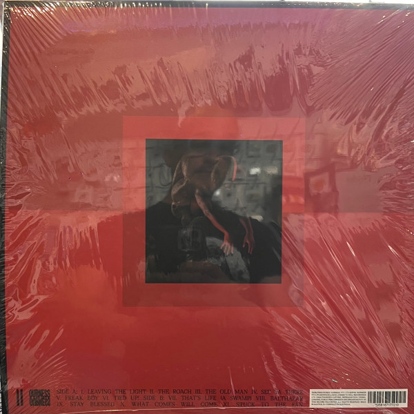 Genesis Owusu - Struggler | Ourness (OURLP2001) - main