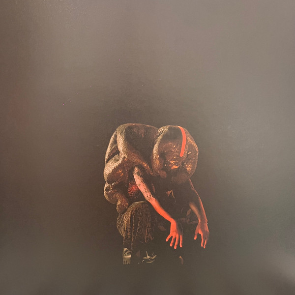 Genesis Owusu - Struggler | Ourness (OURLP2001) - 2