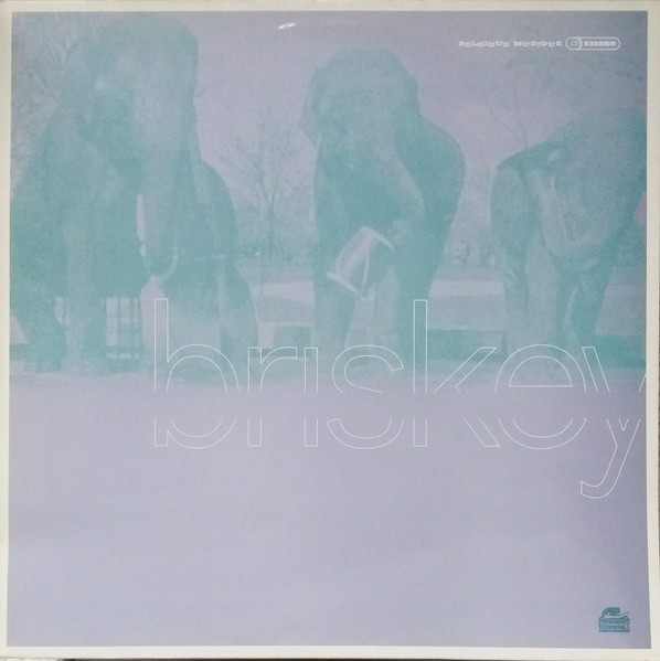 Briskey - Ready When You Are | Downsall Plastics (DSL 023) - main Briskey - Ready When You Are | Downsall Plastics (DSL 023) - main