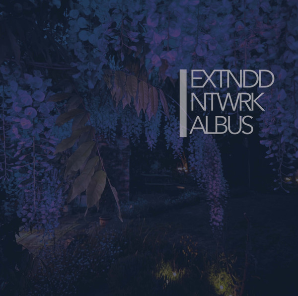 Extnddntwrk - Albus | Fourth Dimension Records (FD2LP160B) - main