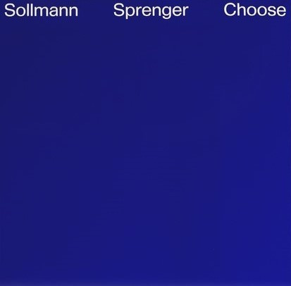 Phillip Sollmann & Konrad Sprenger - Modular Organ System | Choose Records (Choose 440) - 2 Phillip Sollmann & Konrad Sprenger - Modular Organ System | Choose Records (Choose 440) - 2