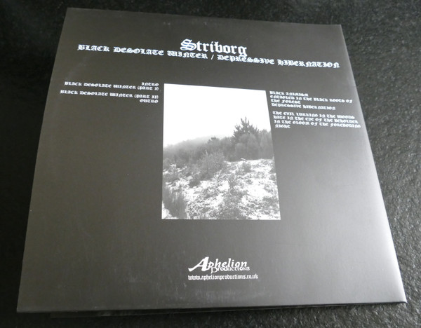 Black Desolate Winter / Depressive Hibernation