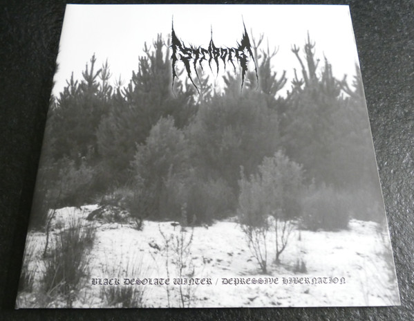 Black Desolate Winter / Depressive Hibernation