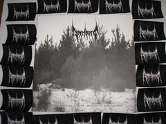 Black Desolate Winter / Depressive Hibernation