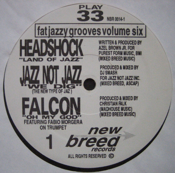 Various - Fat Jazzy Grooves Vol. 6 | New Breed Records (NBR 0014-1) - 2 Various - Fat Jazzy Grooves Vol. 6 | New Breed Records (NBR 0014-1) - 2