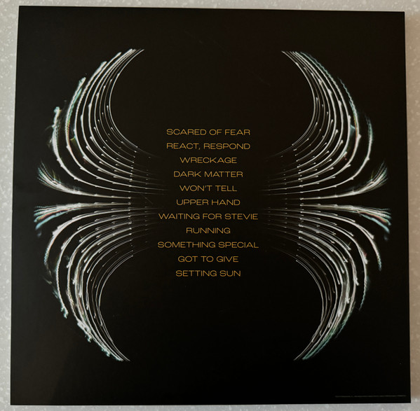 Pearl Jam - Dark Matter (RSD2024 - Limited Edition - Yellow & Black Ghostly Vinyl) [Vinyl] | Republic Records (602458971163) - 4
