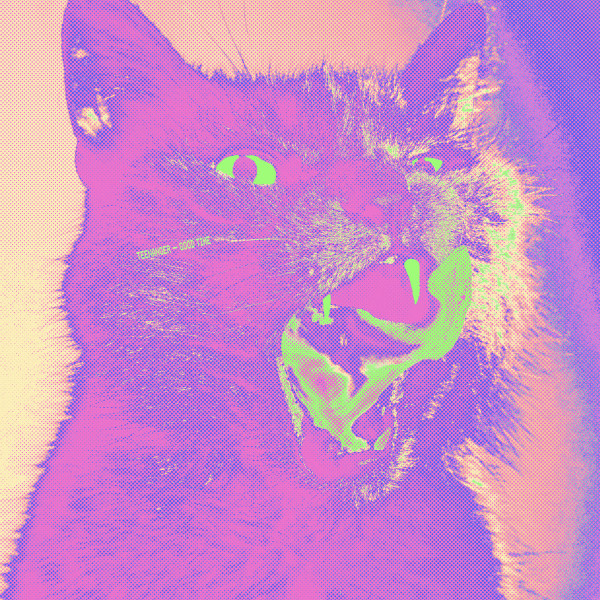 Teenanger - Good Time | Telephone Explosion Records (TER071) Teenanger - Good Time | Telephone Explosion Records (TER071)