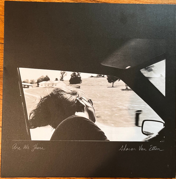 Sharon Van Etten - Are We There | Jagjaguwar (JAG255) - main