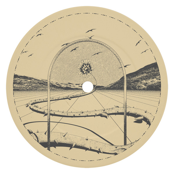 Quasar / Cristo - Swearing EP | Lost Palms (PALMS045)