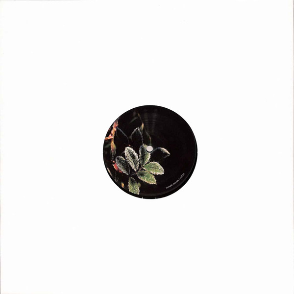 Morphology - Lakeland Dubs EP | Kontakt Records (KNT-25) - 2 Morphology - Lakeland Dubs EP | Kontakt Records (KNT-25) - 2