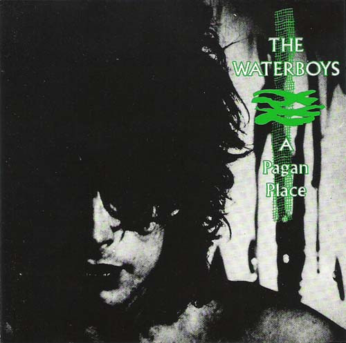 The Waterboys - A Pagan Place | Ensign (ENCL 3)