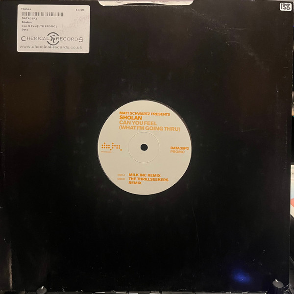 Matt Schwartz Presents Sholan - Can You Feel (What I'm Going Thru) | Data Records (DATA39P2) - 2