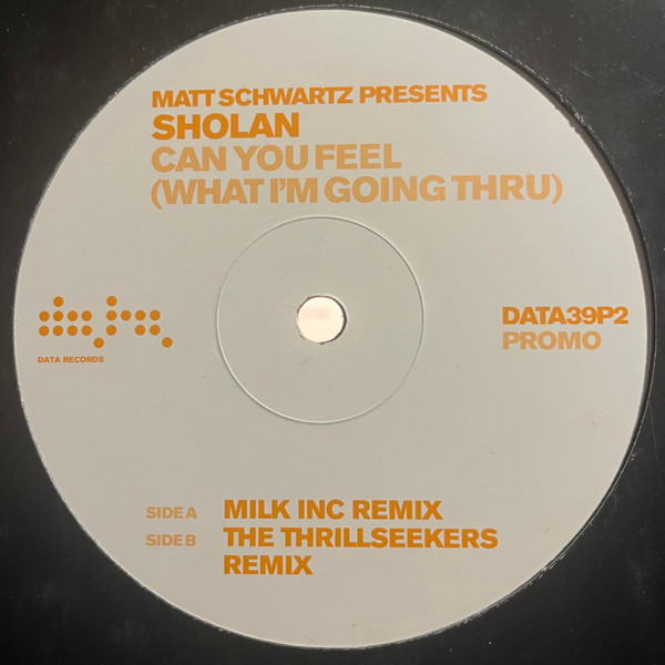 Matt Schwartz Presents Sholan - Can You Feel (What I'm Going Thru) | Data Records (DATA39P2) - main