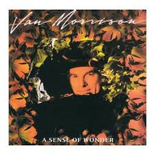 Van Morrison - A Sense Of Wonder | Mercury (822 895-1 M-1)