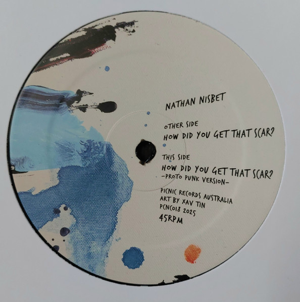 Nathan Nisbet - How Did You Get That Scar? | Picnic Records (PCNC018)