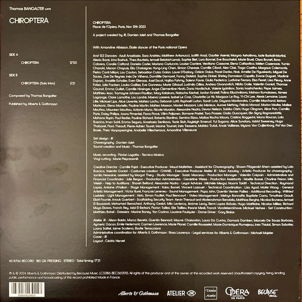 Thomas Bangalter - Chiroptera | Because Music (BEC5613915) - 2 Thomas Bangalter - Chiroptera | Because Music (BEC5613915) - 2
