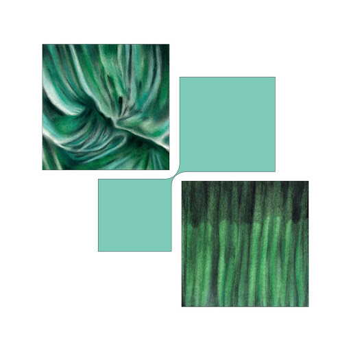 Anna Homler , Alessio Capovilla - Vasi Comunicanti | Gang Of Ducks (GODREC0024)