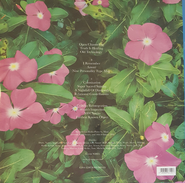 Anthony Child - Electronic Recordings From Maui Jungle, Vol. 2 | Editions Mego (EMEGO 230) - 3 Anthony Child - Electronic Recordings From Maui Jungle, Vol. 2 | Editions Mego (EMEGO 230) - 3