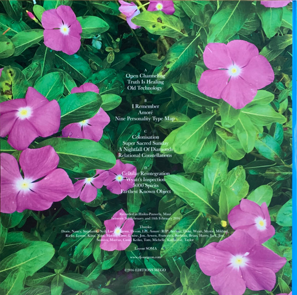 Anthony Child - Electronic Recordings From Maui Jungle, Vol. 2 | Editions Mego (EMEGO 230) - 2 Anthony Child - Electronic Recordings From Maui Jungle, Vol. 2 | Editions Mego (EMEGO 230) - 2