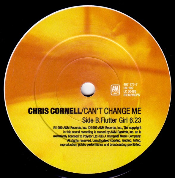 Chris Cornell - Can't Change Me | A&M Records (497 173-7) - 4
