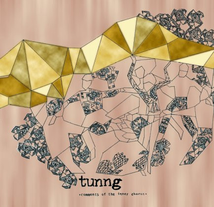 Tunng - Comments Of The Inner Chorus | Full Time Hobby (FTH019CDP) - main