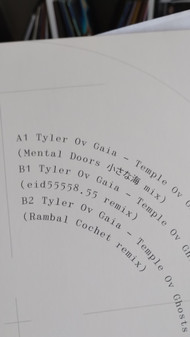 Tyler Ov Gaia - Themple Ov Ghosts | Ekstasis (EKSTASIS001) - 2 Tyler Ov Gaia - Themple Ov Ghosts | Ekstasis (EKSTASIS001) - 2