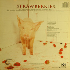 The Damned - Strawberries | Dojo (DOJOLP 46) - 2 The Damned - Strawberries | Dojo (DOJOLP 46) - 2