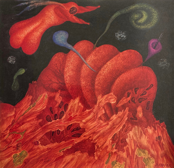 Arik Brauer - Arik Brauer | Polydor (2371 224)