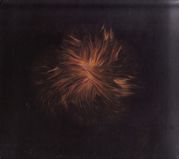 Swans - The Seer | Young God Records (YG45) - 4 Swans - The Seer | Young God Records (YG45) - 4
