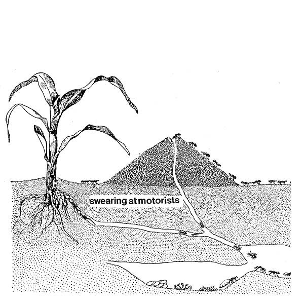 Swearing At Motorists - Swearing At Motorists | A Recordings LTD. (auk117LP)