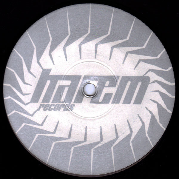 D.M.E. - The Moon Fell Down To Earth | Harem Records (HAR 037-6) - 2