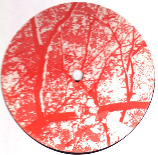 Caia - Themagicdragon 97_ | Guidance Recordings (GDRLP 612) - 3 Caia - Themagicdragon 97_ | Guidance Recordings (GDRLP 612) - 3