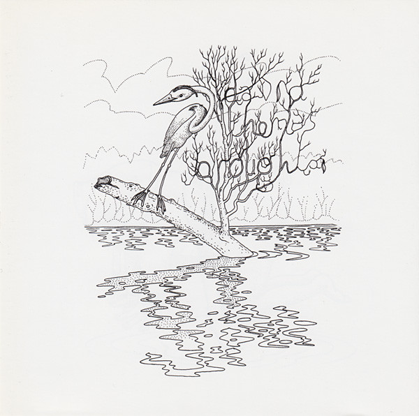 David Thomas Broughton - It's In There Somewhere | Birdwar Records (bwr003)