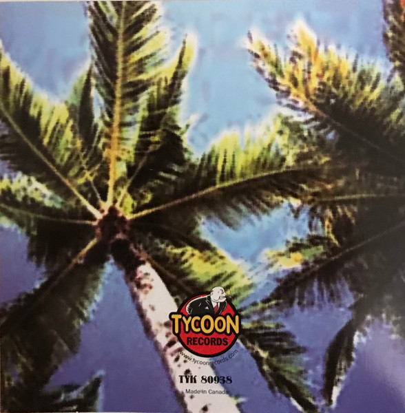 Various - Vamos A La Playa / Merengue, Salsa & Bachata | Tycoon Records (TYK 80938) - 2 Various - Vamos A La Playa / Merengue, Salsa & Bachata | Tycoon Records (TYK 80938) - 2