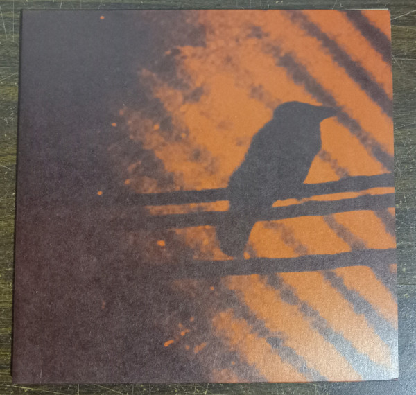 A Silver Mt. Zion - Born Into Trouble As The Sparks Fly Upward. | Constellation (cst018-1) - main