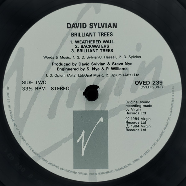 David Sylvian - Brilliant Trees | Virgin (OVED 239) - 4